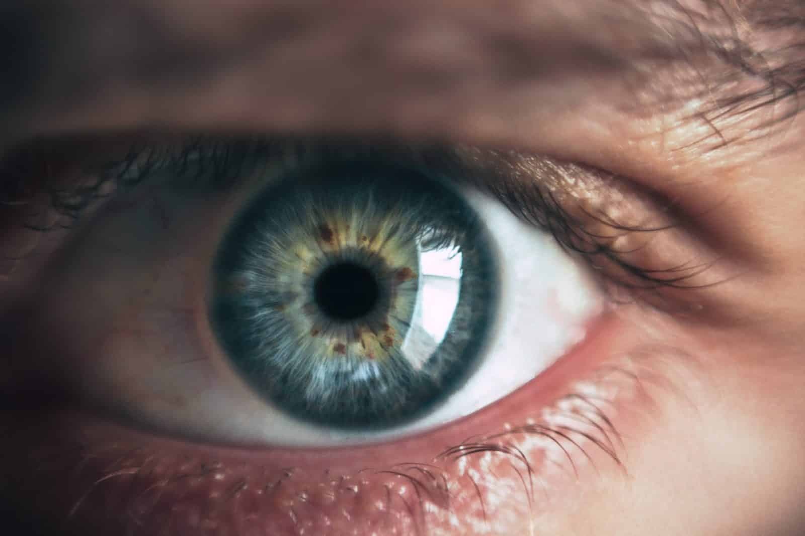 Keeping an Eye on Budgets: Useful Resources